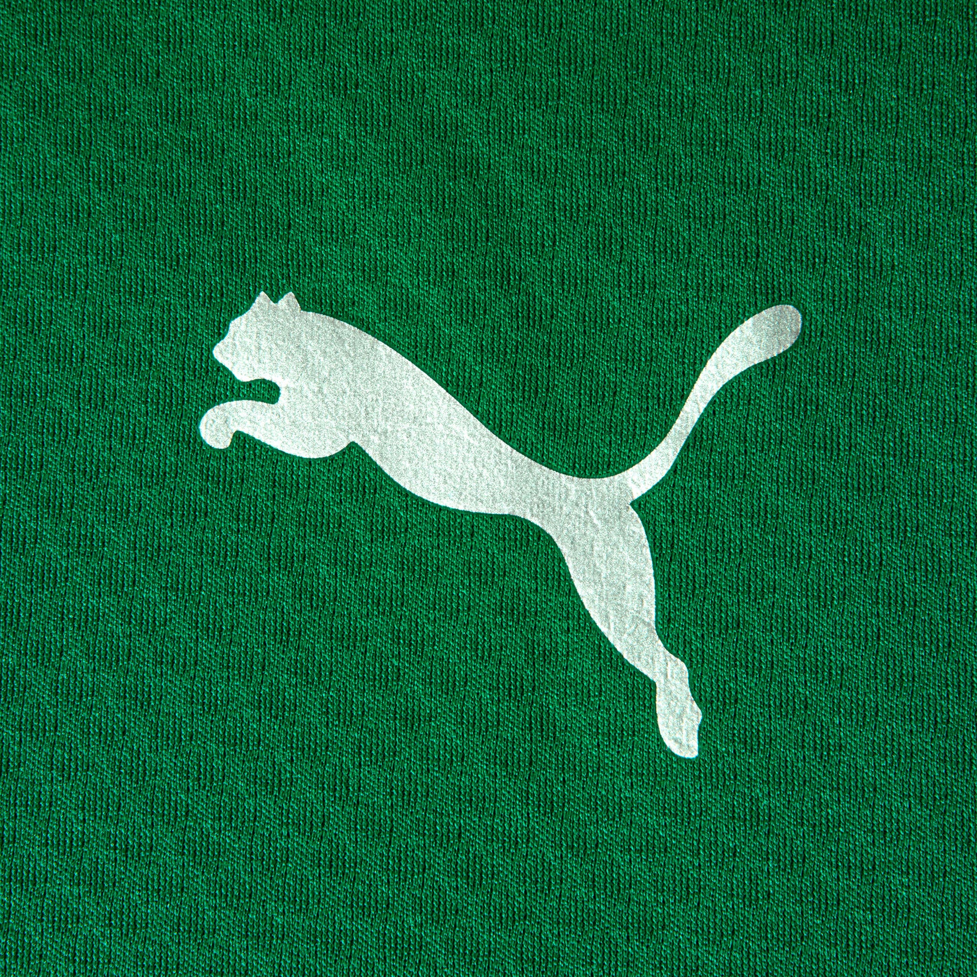 Jaqueta de Treino Fluminense 2026 PUMA Masculina