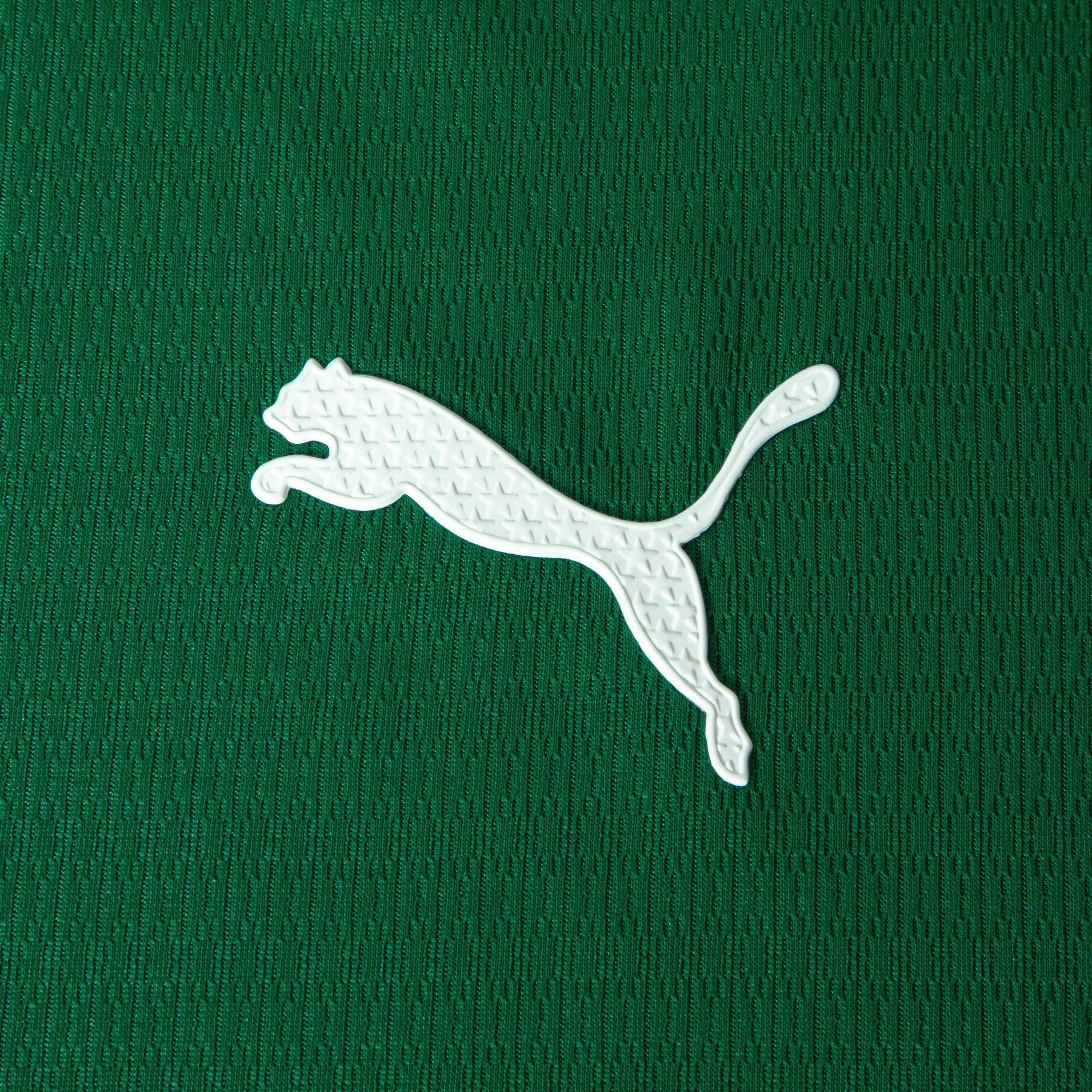 Camisa Palmeiras HOME 2026 Jogador Masculina