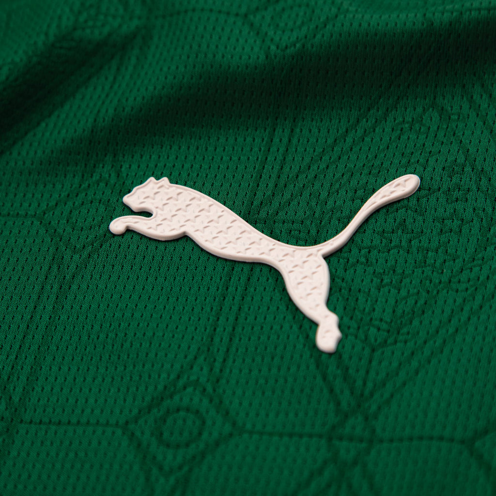 Camisa Palmeiras Jogador HOME 2025