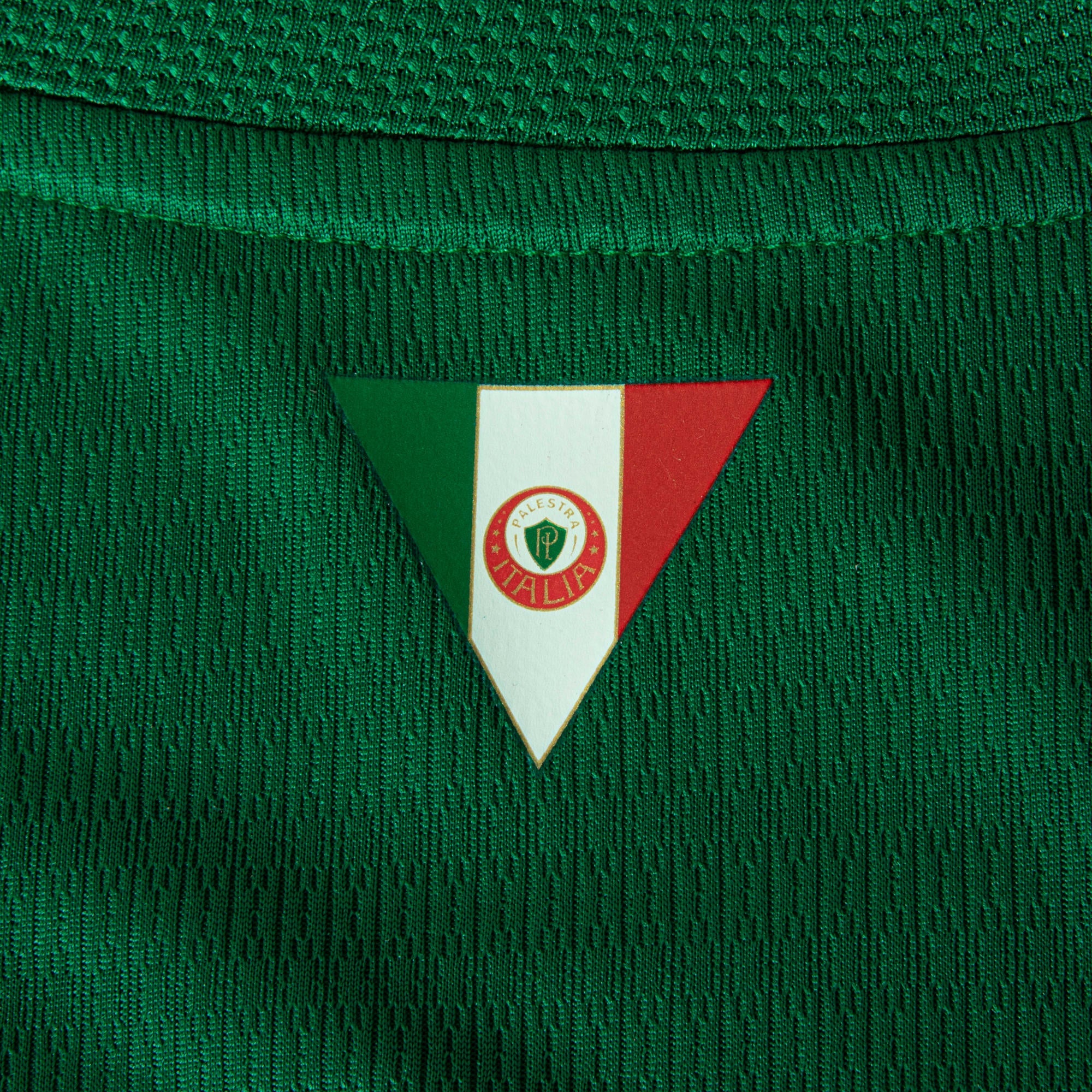 Camisa Palmeiras HOME 2026 Jogador Masculina