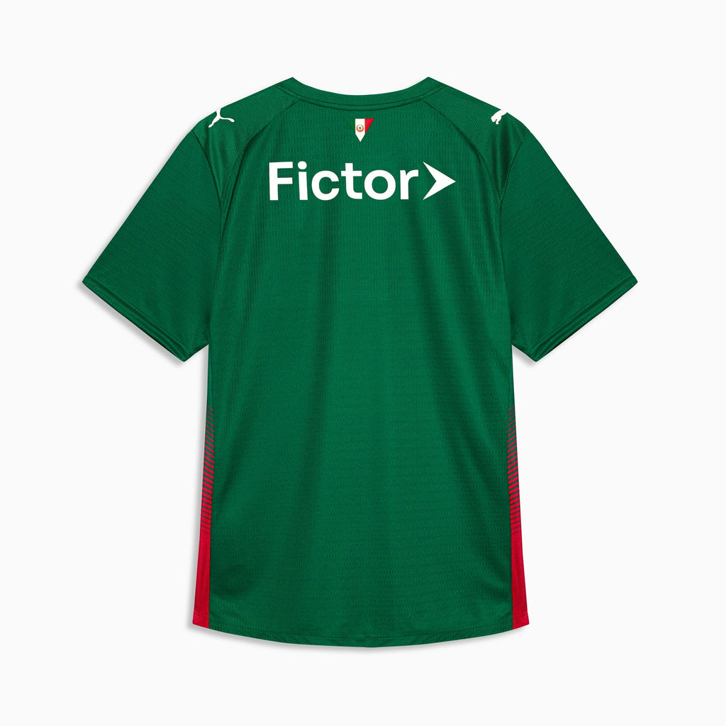 Camisa Palmeiras HOME 2026 Jogador Masculina