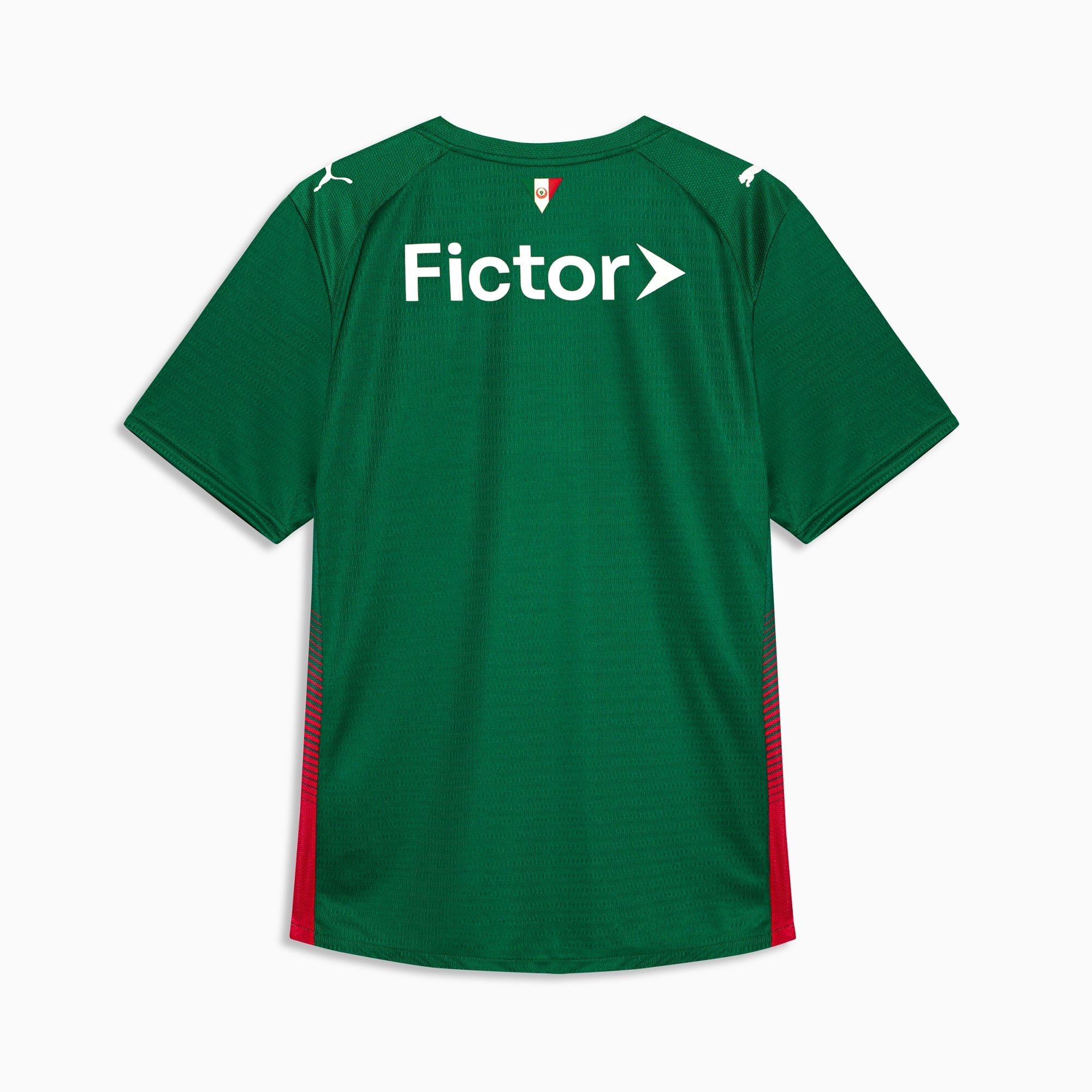 Camisa Palmeiras HOME 2026 Jogador Masculina