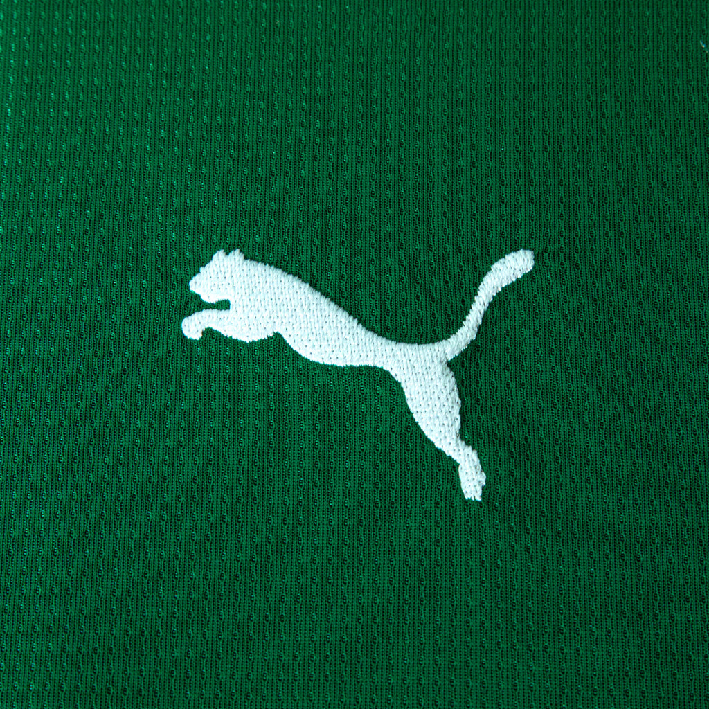Camisa Palmeiras HOME 2026 Torcedora Feminina