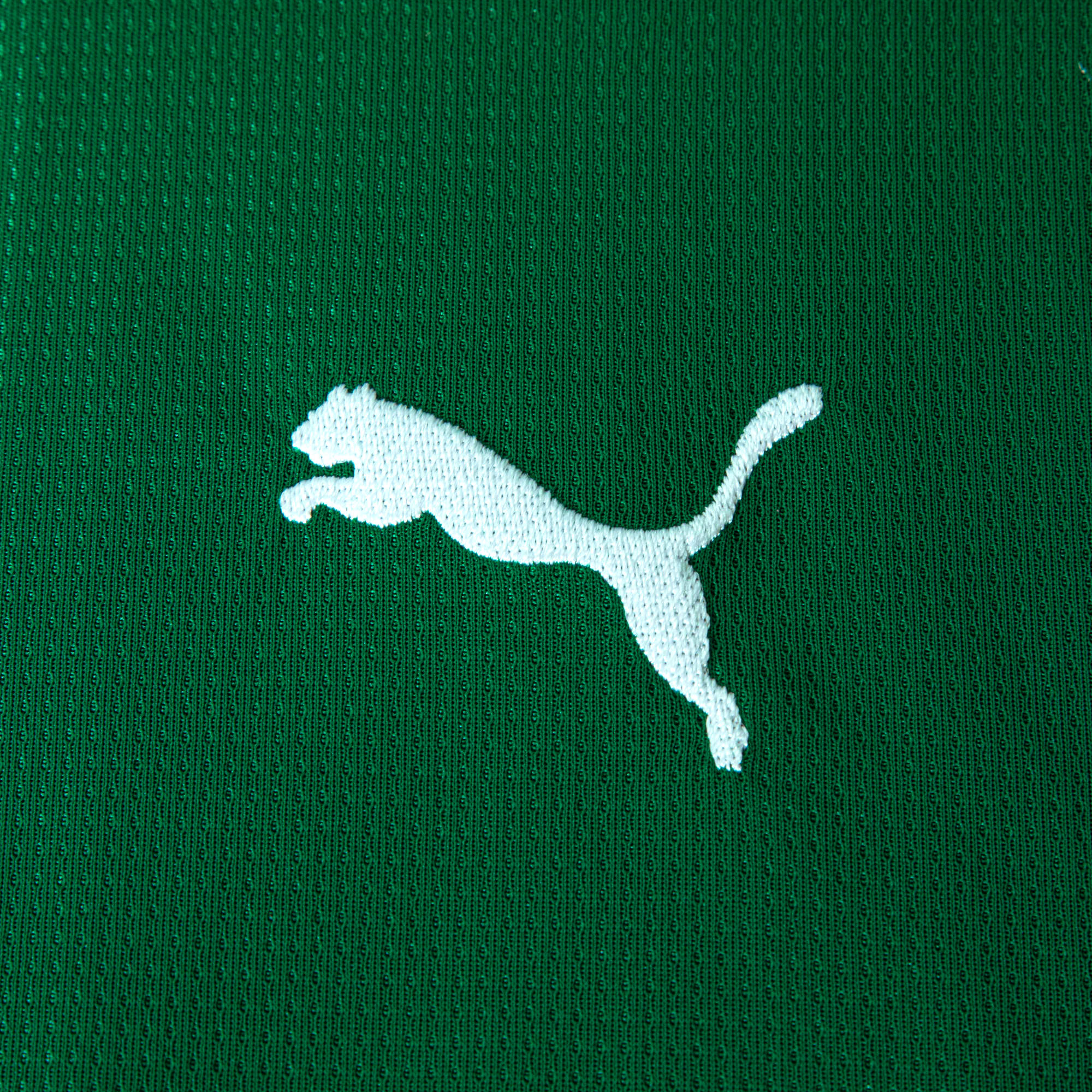 Camisa Palmeiras HOME 2026 Torcedora Feminina