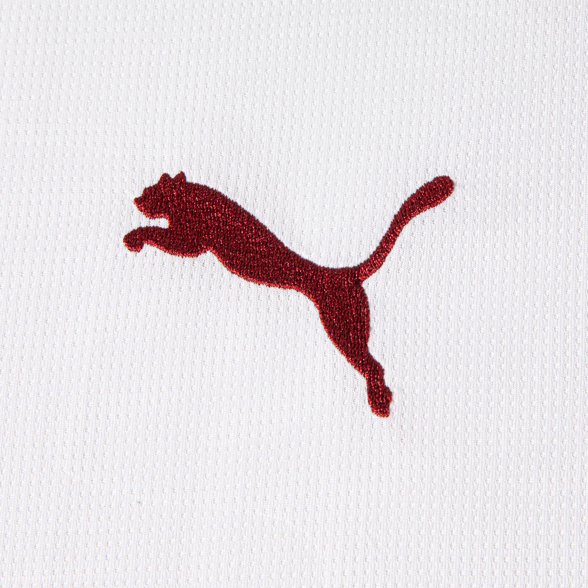 Camisa Fluminense Away 2026 Torcedor PUMA Masculina