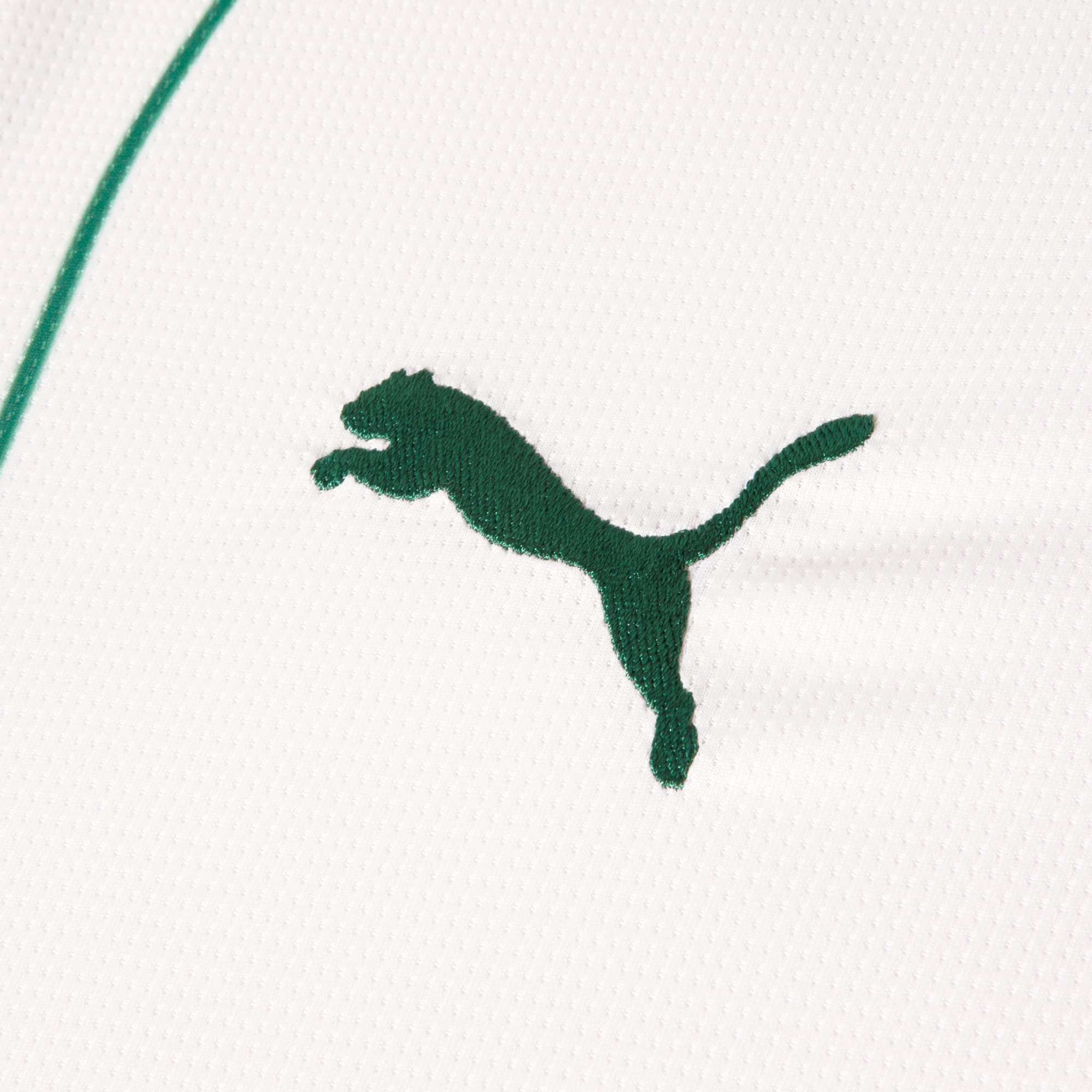 Camisa Palmeiras AWAY 2026 Torcedor Masculina
